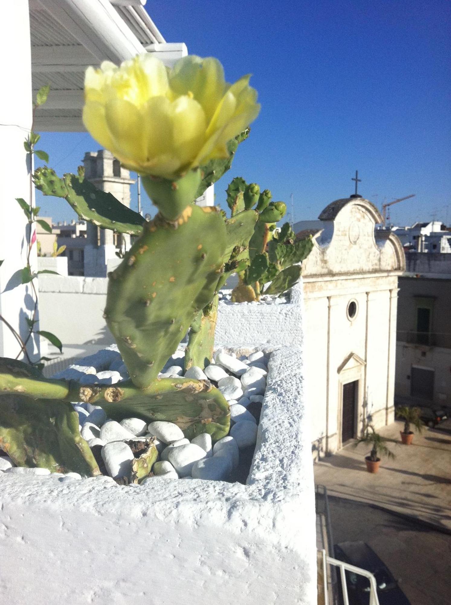 B&B Donnapasqua Polignano a Mare Exterior photo